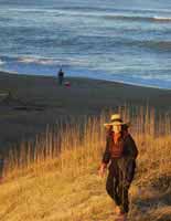 Dune
                  beside the Cavalier